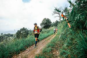 BIB: 
                            <button type="button" onclick="openModal(26039699)" class="btn btn-primary btn-sm float-right btn-popup" data-toggle="modal" data-target=".modal-high-quality">
                        <i class="fas fa-shopping-cart"></i> Add to Cart
                    </button>
                                            <button type="button" onclick="isThisMe(26039699, true)" class="btn btn-success btn-sm float-right btn-popup btn-isme hidden" data-toggle="tooltip" data-placement="bottom" title="นี่คือรูปของคุณใช่ไหม คลิกที่นี่เพื่อเอาเข้าอัลบั้ม">
                        <i class="fas fa-plus"></i> Add to album
                    </button>
                    <button type="button" onclick="isThisMe(26039699, false)" class="btn btn-warning btn-sm float-right btn-popup btn-isnotme hidden">
                        <i class="fas fa-ban"></i> Remove from album
                    </button>